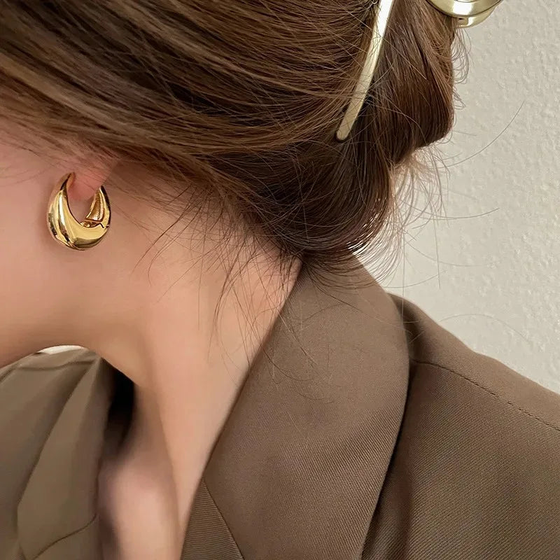 Elegant Earrings
